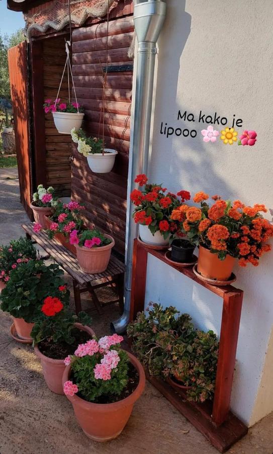 Rooms Ive Lozovac Esterno foto